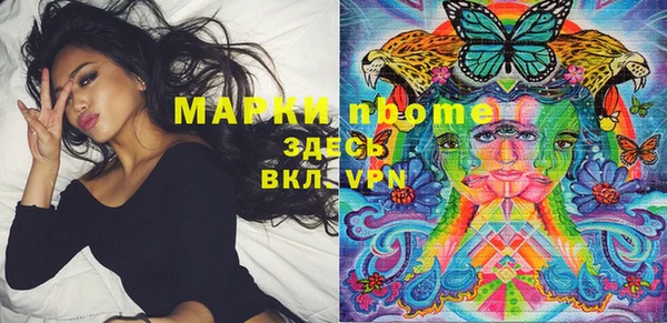 Альфа ПВП Верея