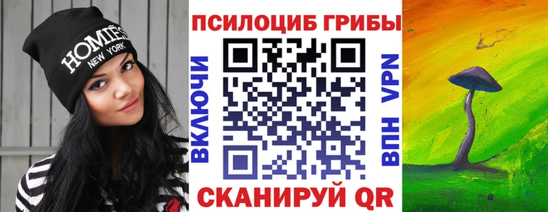 Псилоцибиновые грибы Psilocybine cubensis  Новосокольники 